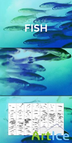 WeGraphics - School of Fish