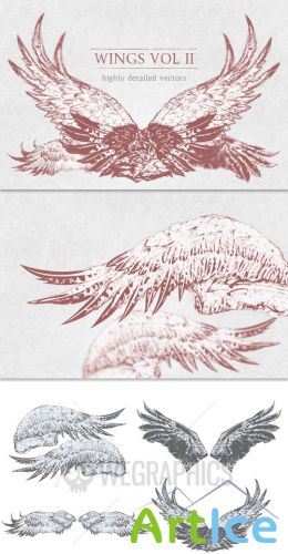 WeGraphics - Highly detailed wings 2