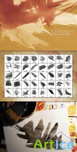WeGraphics - Dry Paint Strokes Brushes Vol1