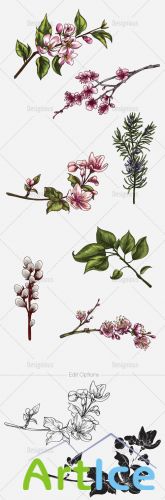 Vector Blossomed Branches Set 1