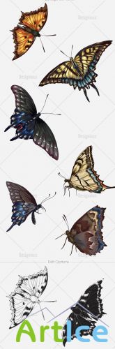 Vector Butterflies