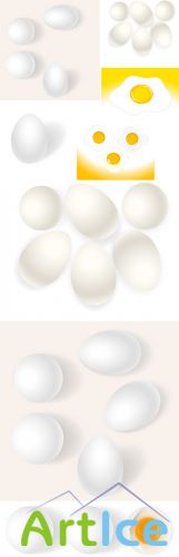 Vector Eggs Set 1