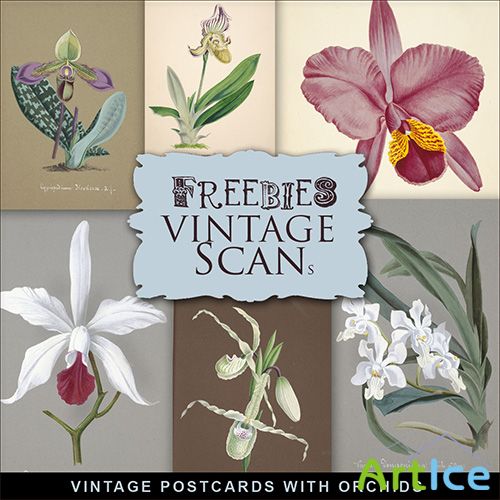 Scrap-kit - Vintage Postcards With Orchids 2