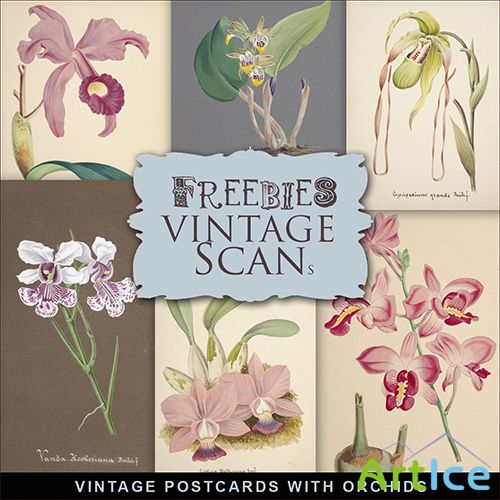 Scrap-kit - Vintage Postcards With Orchids 3