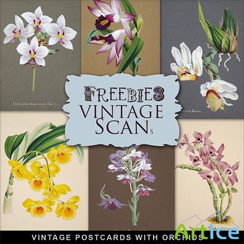 Scrap-kit - Vintage Postcards With Orchids 4