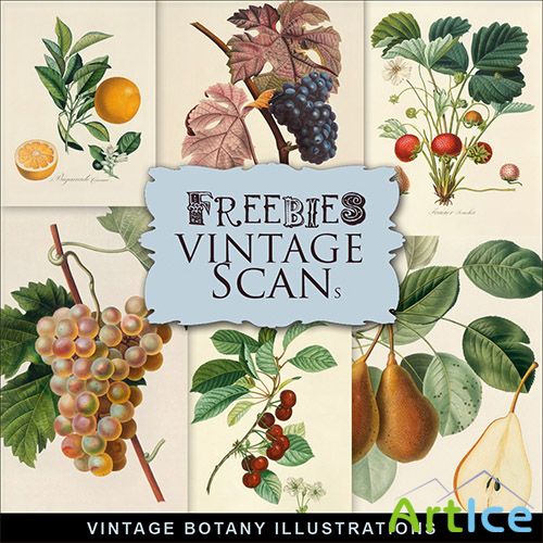 Scrap-kit - Vintage Botany Illustrations 2013