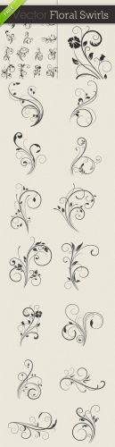Designtnt - Vector Floral Swirls