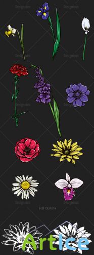 Floral Vector Set 107