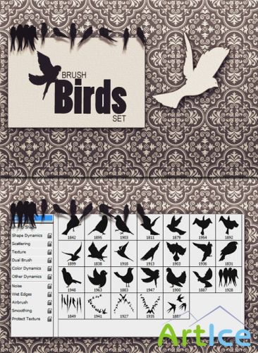Designtnt - Birds PS Brushes