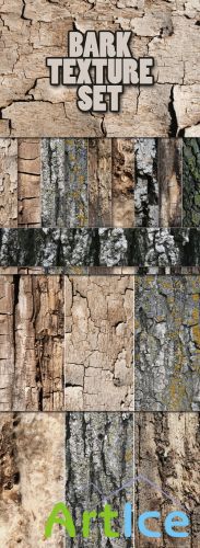 Designtnt - Bark Textures
