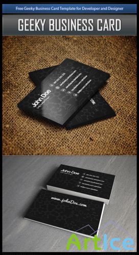 Developer Geeky Business Card Template PSD