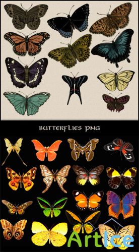 27 Butterflies Clipart PSD Template