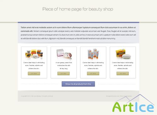 PSD Web Design - Flat piece from beauty eshop