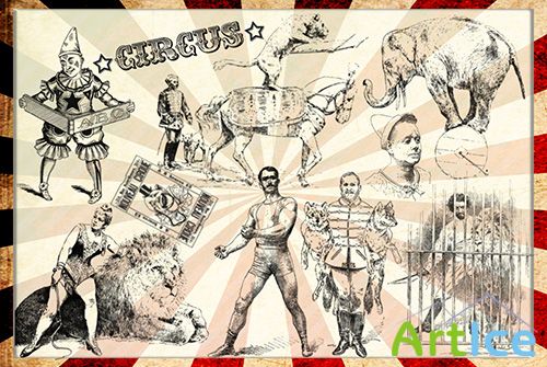 ABR Brushes - Vintage circus 2