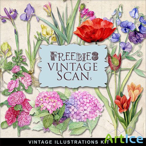 Scrap-kit - Vintage Floral PNG Illustrations For Creative Design