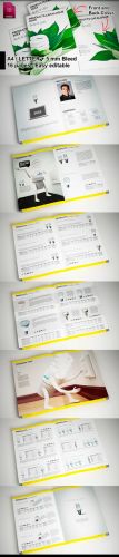 Products 2 Brochure Highlights Template