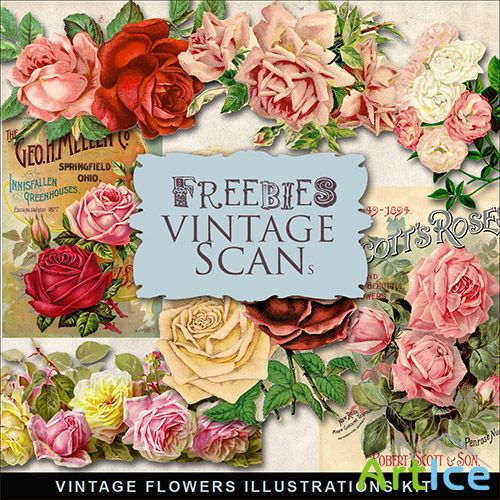 Scrap-kit - Vintage Flowers PNG Illustrations 2