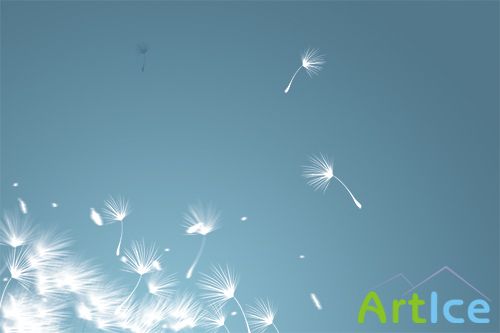 PSD Source - Fly Dandelion