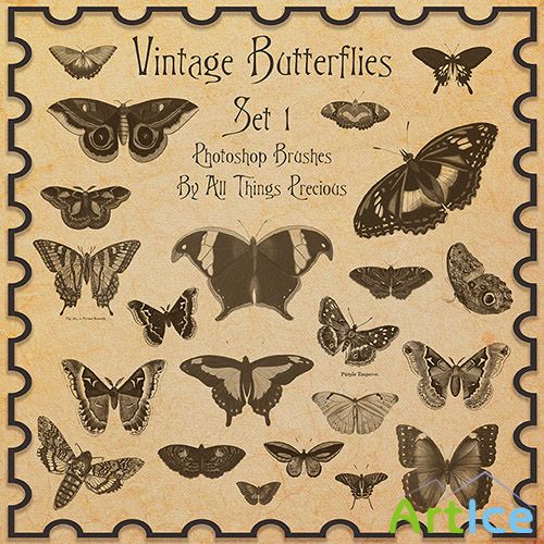 ABR Brushes - Vintage Butterflies SET 1
