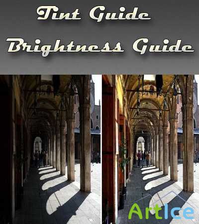 Tint Guide Brightness Guide 1.1.1