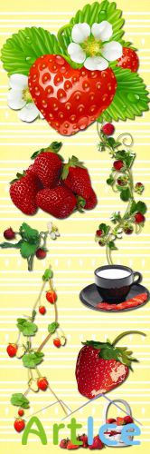The Sweet Taste of Strawberries PNG Files