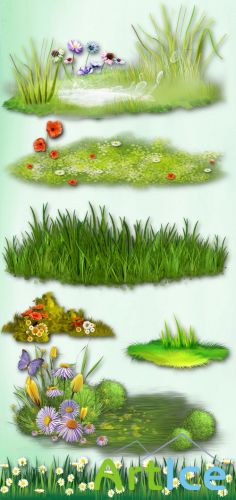 Lawn with Flowers PNG Files