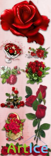 Red Roses PNG Files