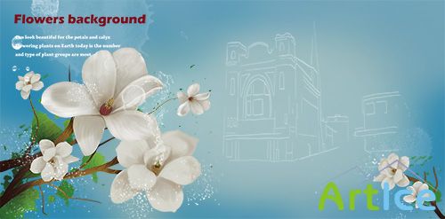 PSD Source - Flowers Background 2013