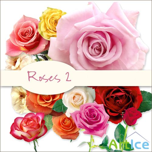 Roses 2 PNG Files