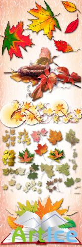 Autumn leaves PNG Files