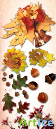 Autumn Leaves 2 PNG Files