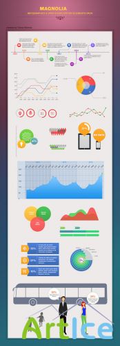 Magnolia Infographic PSD Template