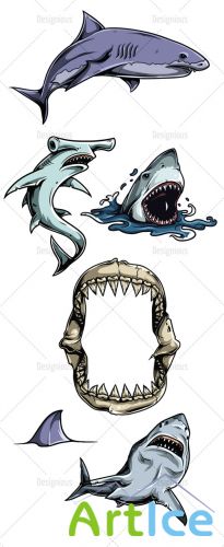 Sharks Vector Set 1