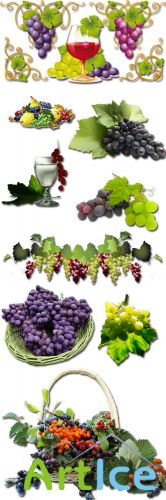 Grapes on a White Background PNG Files