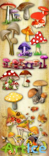 It's time to Mushrooms PNG Files