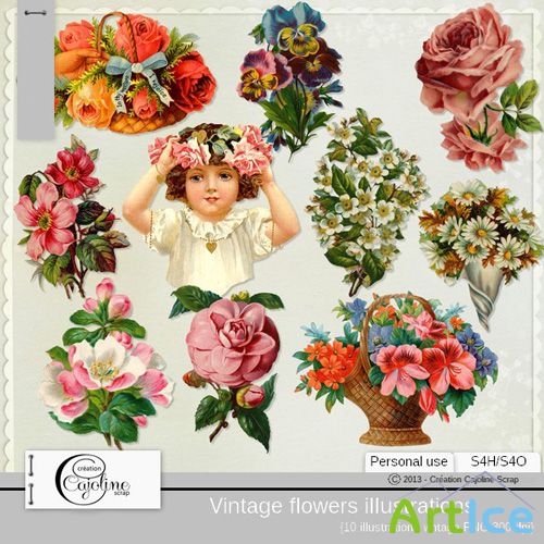 Vintage Flowers Illustrations PNG Files