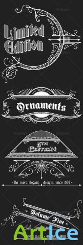 Vector Vintage Ornaments and Brushes Set 5
