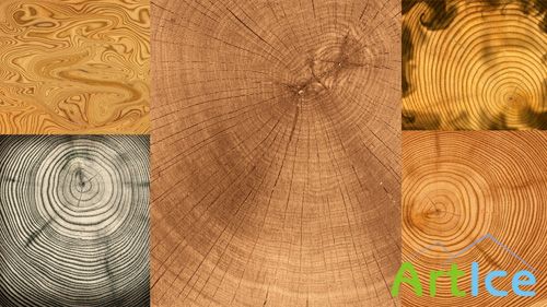 Transverse Sections of Wood Texture JPG Files