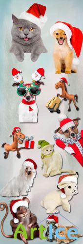 Christmas Animals PNG Files