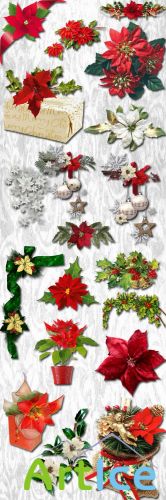 Christmas Flowers PNG Files