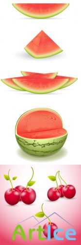 Watermelon and Cherry Vector Set