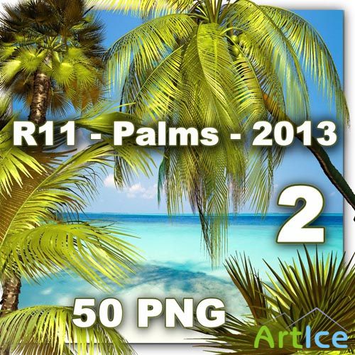Palms 2 PNG Files