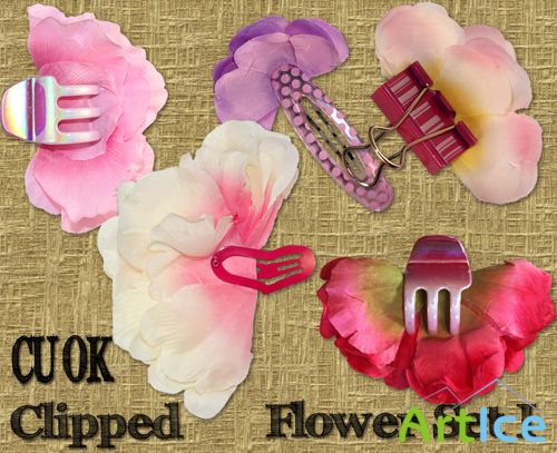 Clipped Flower Set 1 PNG Files