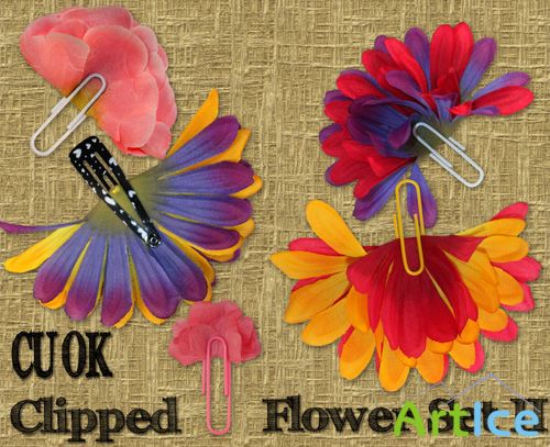 Clipped Flower Set 2 PNG Files