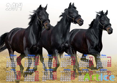 Настенный календарь - 3 красивых лошади