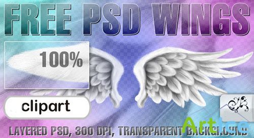Transperent Wings PSD Template