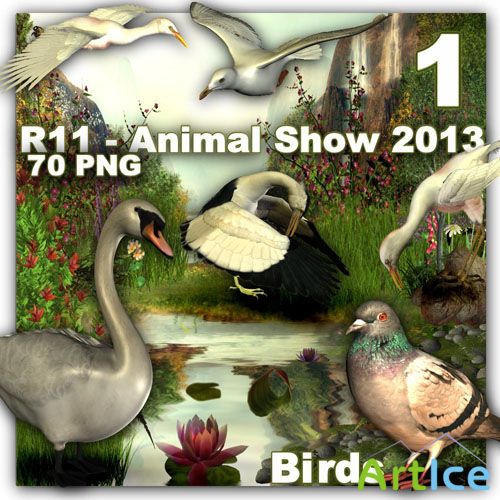 Animal Show - Birds PNG Files