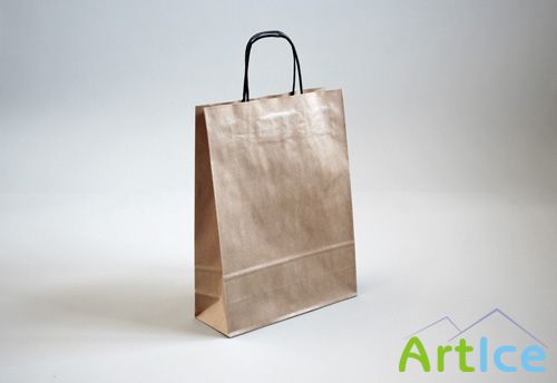 Realistic Paper Bag Mock-up Template PSD