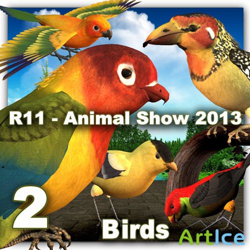 Animal Show - Birds 2 PNG Files
