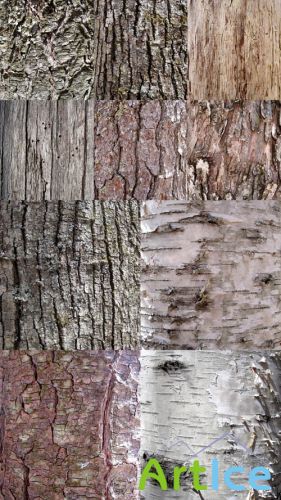 Tree Bark Textures  JPG Files